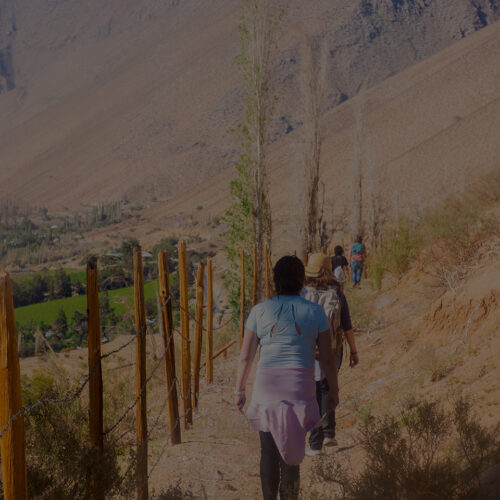 {altimage}